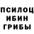 Галлюциногенные грибы Cubensis Ruslan Yarmolenko