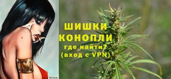 бошки Козельск