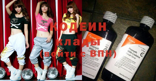 сатива Анжеро-Судженск