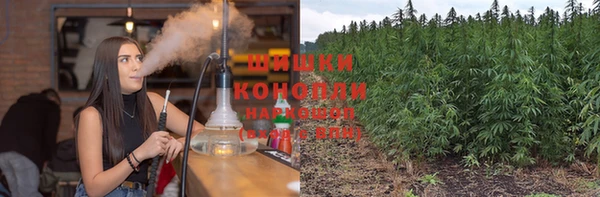 стафф Коряжма