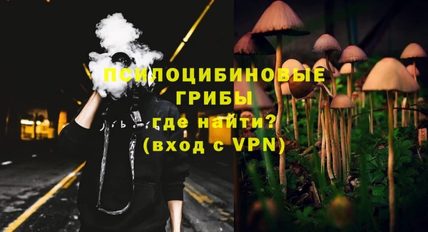 ALPHA PVP Костерёво