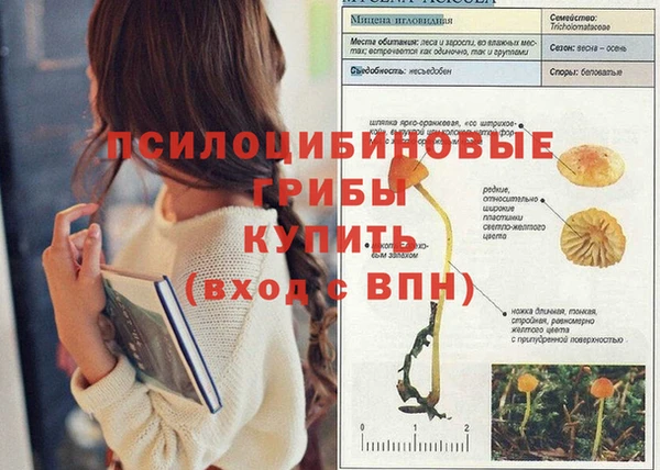 ALPHA PVP Костерёво