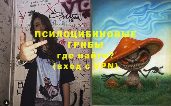молекула духа Корсаков