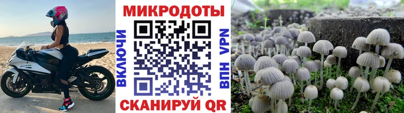 Псилоцибиновые грибы Psilocybine cubensis hydra рабочий сайт Верхоянск